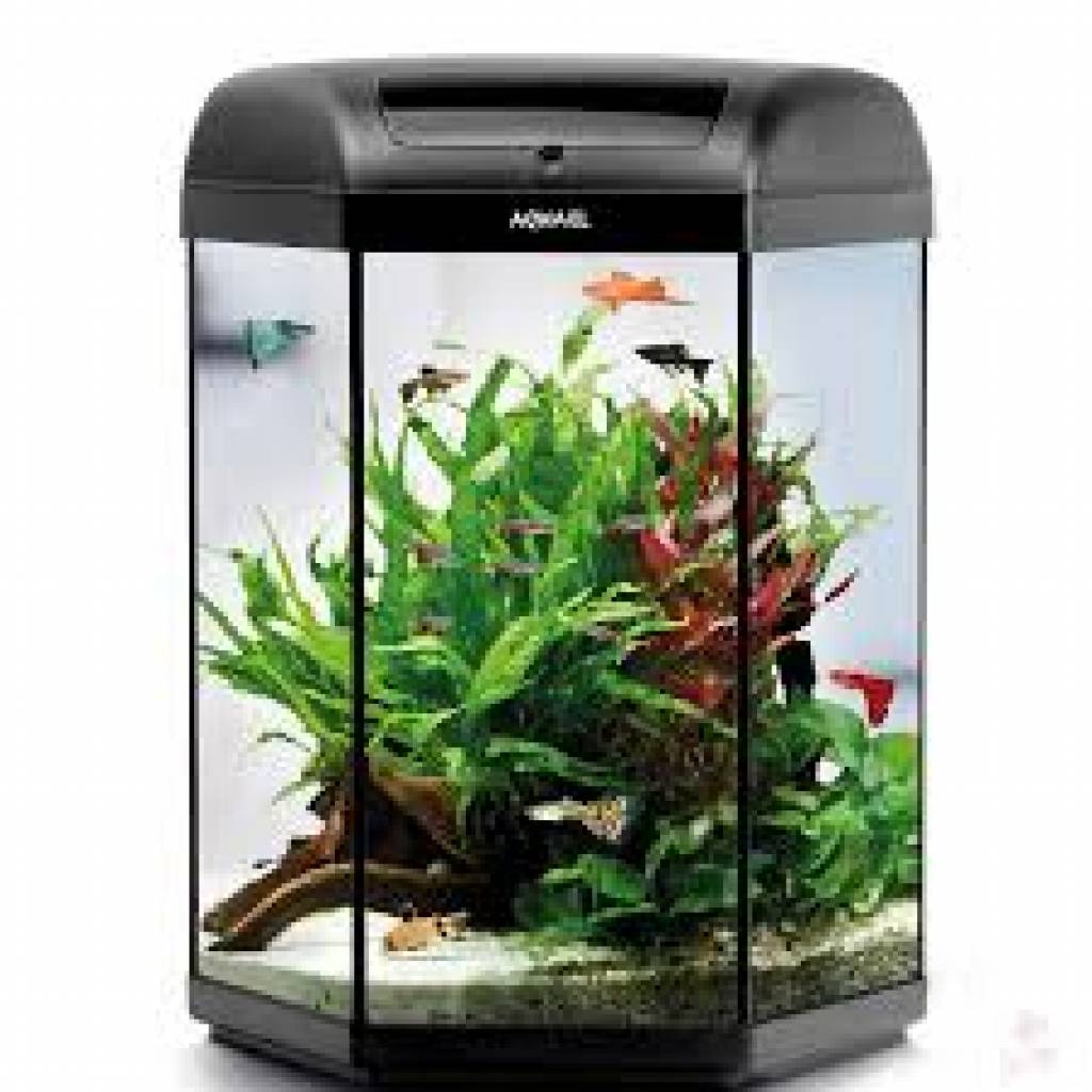 Aquael Aquarienset Hexa Set Day&Night 2.0 60 l schwarz